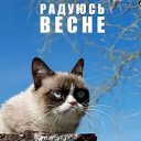 ���� ������, ����, 48 ��� - ��������� 21 ����� 2017 � ������ ������ ��������