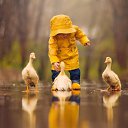 ���� �������, ������� - ��������� 12 ������� 2016 � ������ ������ ��������