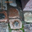 ���� ������, �����������, 63 ���� - ��������� 28 ������� 2016 � ������ �ʸ���, � ����������