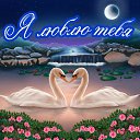 ���� ��.�����, ������ - ��������� 19 ������ 2017 � ������ �������� ��������