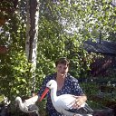 ���� �������, �����������, 72 ���� - ��������� 15 �������� 2016