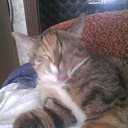 ���� ������, ����, 43 ���� - ��������� 30 ������ 2016 � ������ ���� ����������