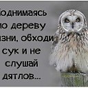 ���� �������, ����������� - ��������� 22 ������� 2016 � ������ �well�