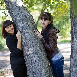 ���� �������, ������������, 34 ���� - ��������� 30 �������� 2016