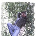  Tural, -, 52  -  17  2016    