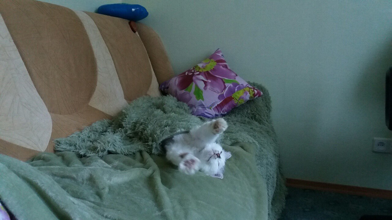 #_.   2-    :- ... - 3