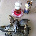 ��� �� ��� �� ������� ���� ����������