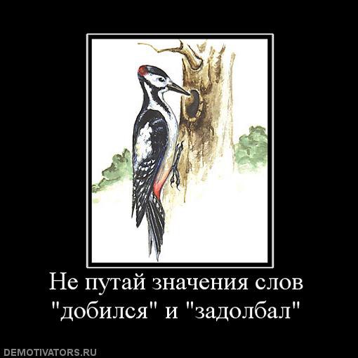 Путаю значение слов