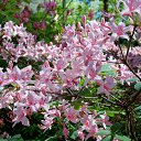 22.05.2016 �� ������� �������� ������������ ���.�