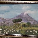  ,  -  31  2017      .