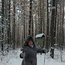  ,  , 40  -  11  2016         , , , 