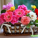 ���� �����, ���������, 59 ��� - ��������� 12 ������� 2016 � ������ ���� ����������