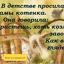���� ��������������!!!, ������ - ��������� 9 ������� 2016 � ������ ������ ��������