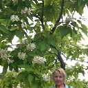 �� ��������� �����.(������ ���) �� ������� ���� ����������