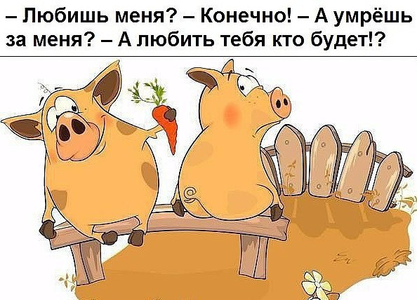   - 7  2017  08:18