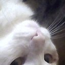 ���� M�����, ������ - ��������� 2 ������� 2016 � ������ ������ ��������