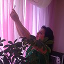 ���� �������, ������, 70 ��� - ��������� 24 ������ 2016 � ������ ���� ����������