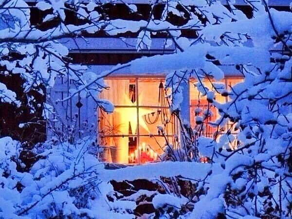  -   ,          ,  ... - 5