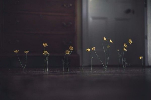 Лежали в больнице в палате одной.Два тяжко больных человека.Один у окошка лежал, а другой –У двери, ...