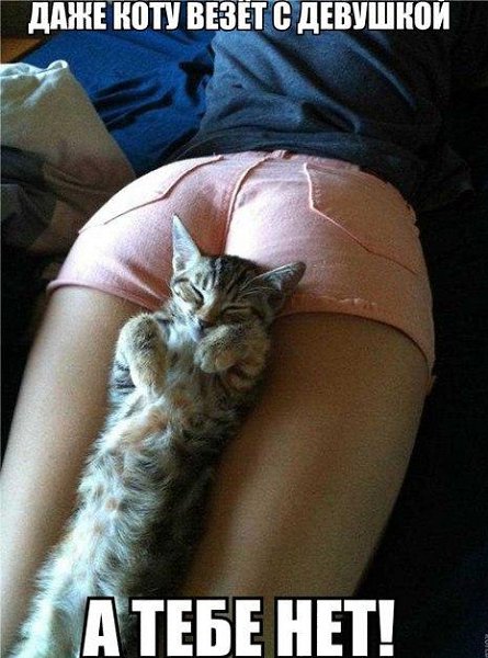    ר! - 23  2016  19:09