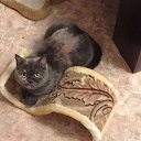 ���� �����, ������� - ��������� 26 ������� 2016 � ������ ������ ��������