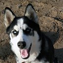 ���� �������, �������������, 50 ��� - ��������� 20 �������� 2016 � ������ ������ ��������