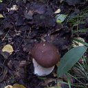 ���� �������, �����������, 62 ���� - ��������� 29 ������� 2016 � ������ ���� ����������