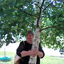 ���� ���, �����������, 69 ��� - ��������� 11 ����� 2017