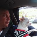 ���� �������, ������������, 52 ���� - ��������� 23 ������� 2016 � ������ ���� ����������