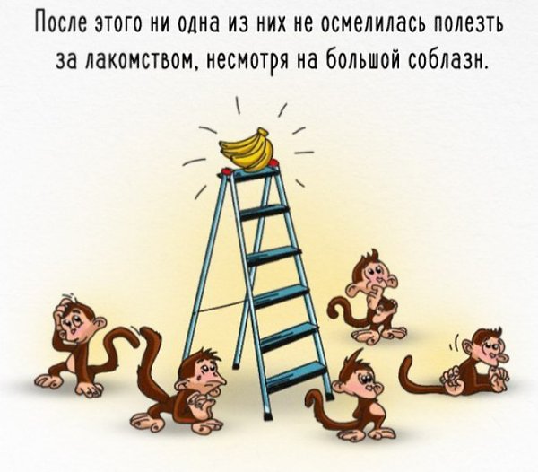 Как работает общество на примере обезьян и бананов. А вам знакомо? - 4