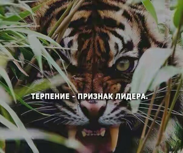  - 14  2017  03:47