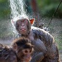 ���� ������, ������ - ��������� 5 ������� 2016 � ������ ������