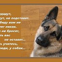 ���� ������, �����-���������, 58 ��� - ��������� 12 ������� 2016 � ������ ������ ��������