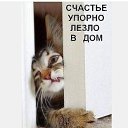 ���� ����, �������, 63 ���� - ��������� 12 ������� 2016 � ������ ������ ��������