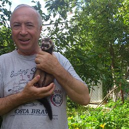 ���� �������, ������, 78 ��� - ��������� 26 ����� 2017