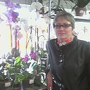 ���� �����, ����������, 51 ��� - ��������� 22 ������� 2016