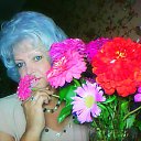 ���� *����*, ��������� - ��������� 7 ������ 2017 � ������ ���� ����������