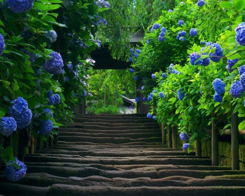   -       , .#@travel.blog