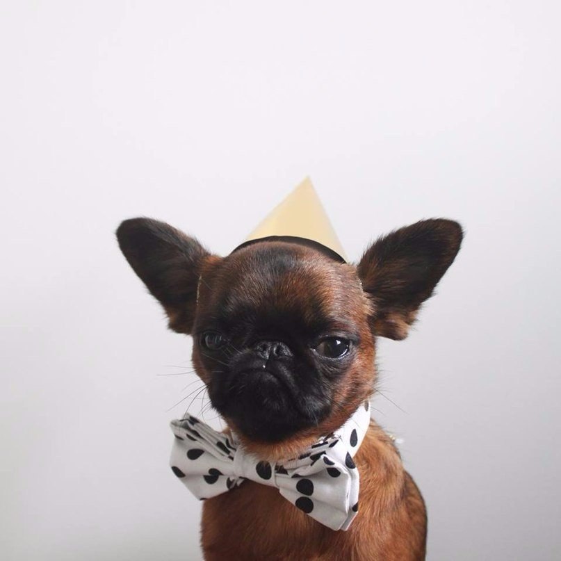 ��������� ������. - 2