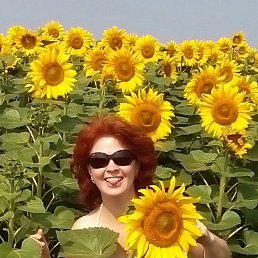 ���� �����, ���� - ��������� 29 ������� 2016