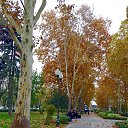 ���� �������, ���������, 73 ���� - ��������� 16 ������ 2016 � ������ �������� ����� � ����������