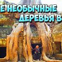 ���� ��������, �������� - ��������� 28 ������� 2017 � ������ ������ ��������