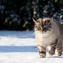 ���� Alserg, ����� - ��������� 3 ������� 2017 � ������ ������ ��������