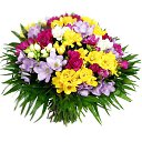 ���� ����@, �����-��������� - ��������� 8 ����� 2017 � ������ ������ ��������