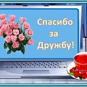 ���� �������, ������ ��������, 66 ��� - ��������� 14 ������� 2016 � ������ ������ ��������