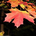 ���� ���������, ������, 69 ��� - ��������� 21 �������� 2016 � ������ �������