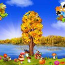 ���� ������, ���������, 66 ��� - ��������� 16 ������� 2016 � ������ �������� �������-�������