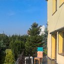 ���� �������, ���������������, 50 ��� - ��������� 3 ������� 2016 � ������ ���� ����������