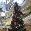 ���� ����, ��������, 60 ��� - ��������� 7 ������ 2017 � ������ ���� ����������