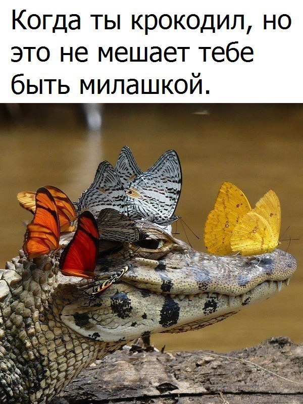  - 16  2016  17:04
